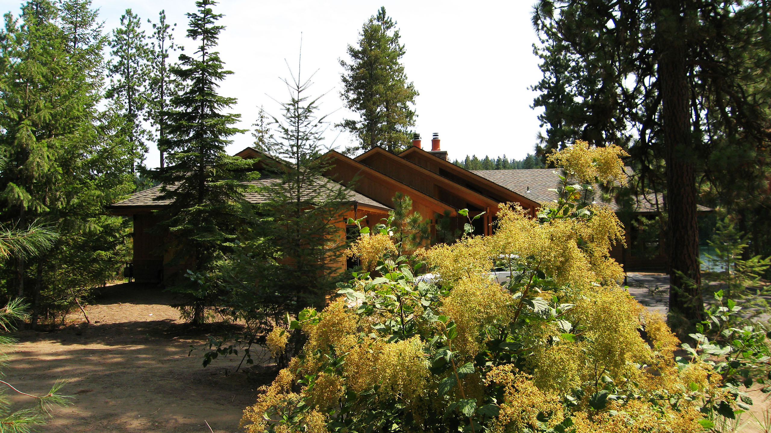 Exterior view of Spokane River Residence, a custom single-family home nestled among pine trees and lush vegetation along the Spokane River in Post Falls, Idaho.